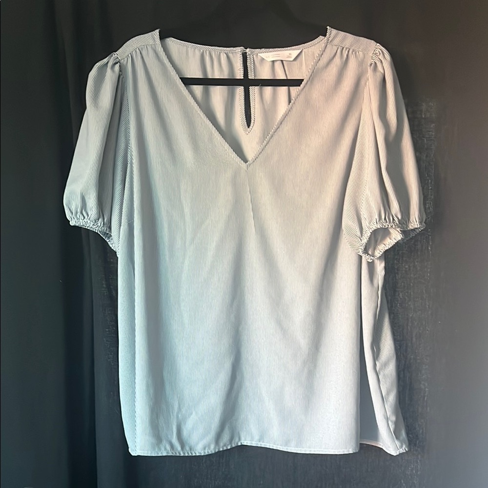 LC - Blue and white striped, V-Neck Women's Top